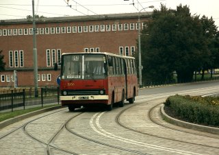 Ikarus #5156 jako linia 142, ul. Nowy Świat