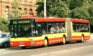 MAN #8600 jako linia 146, ul. Skłodowskiej-Curie