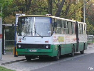 Ikarus #5310 jako linia 113, pętla Krzyki, 2004.10.06