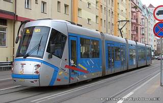 Škoda 19T #3117 na ul. Glinianej, 2013-11-01