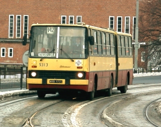 Ikarus #5313 jako linia 142, ul. Nowy Świat