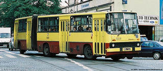 Ikarus #5239 jako linia 135, ul. Zielińskiego/ul. Swobodna