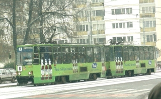 Skład 2244+2245 jako linia 8, ul. Skargi