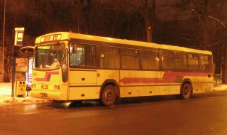 Gniot #9503 jako 113, pętla Krzyki