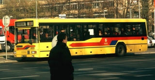 Gniot #9555 jakolinia D, pl. Grunwaldzki