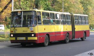 Ikarus #5304 jako linia D, pętla Krzyki, 2004.10.06